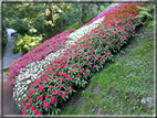 foto Giardini Trauttmansdorff - Boschi del Mondo